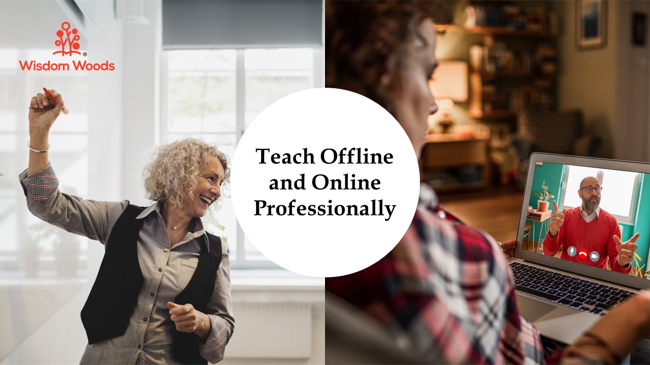 Teach Online and Offline Professionally